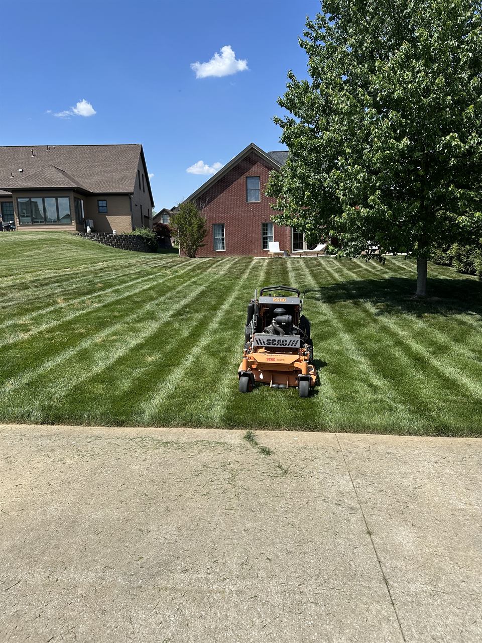 A renovated backyard with freshly striped, healthy turf at an Owensboro, KY home